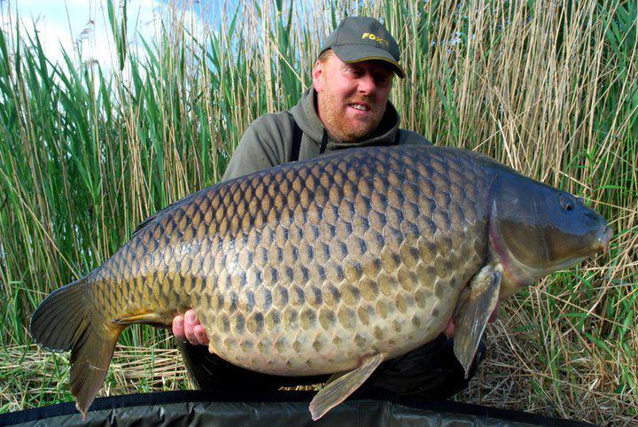 crapi mari - 4260542889799345642771404969264n.jpg